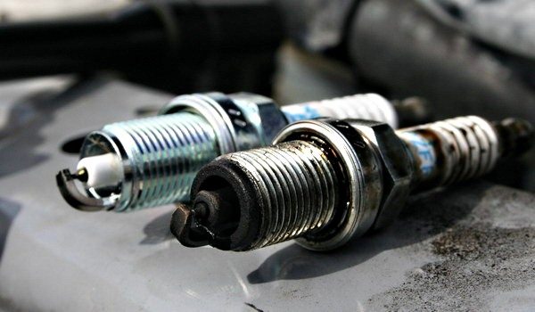علامات تلف البوجهيات